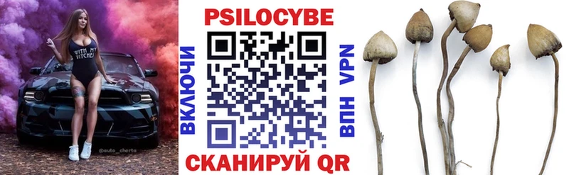 цена Стрежевой Галлюциногенные грибы мицелий