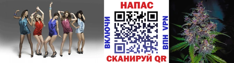 Канабис гибрид Стрежевой